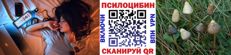 Галлюциногенные грибы GOLDEN TEACHER  Купить закладки  Миллерово 