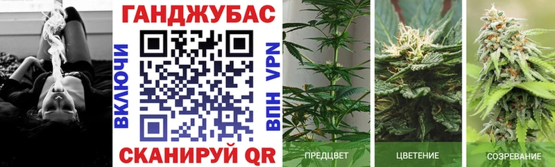 Бошки марихуана семена  Купить где  Миллерово 